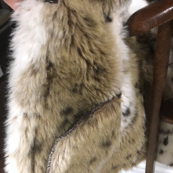 Hooded Vest - Picture 2 of 7